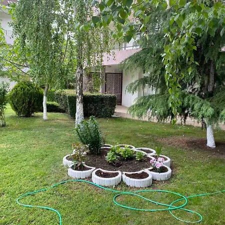 One- Bed Apart For Rent At Sunny * Slăntjev Brjag