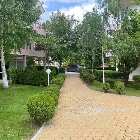One- Bed Apart For Rent At Sunny Appartement *